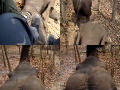 On elephant back.mov