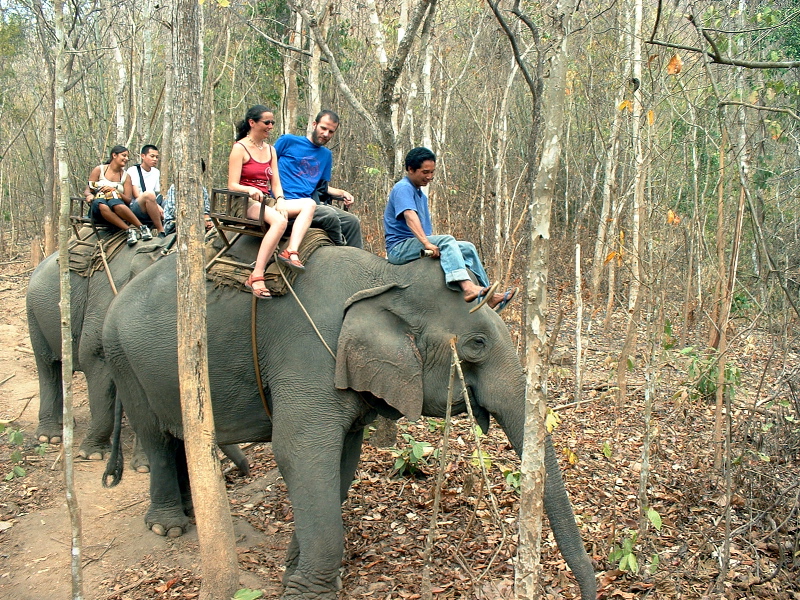 Charlie & Helen on Elephant