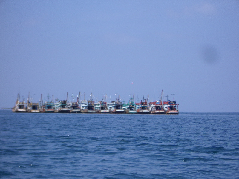 Line of boats