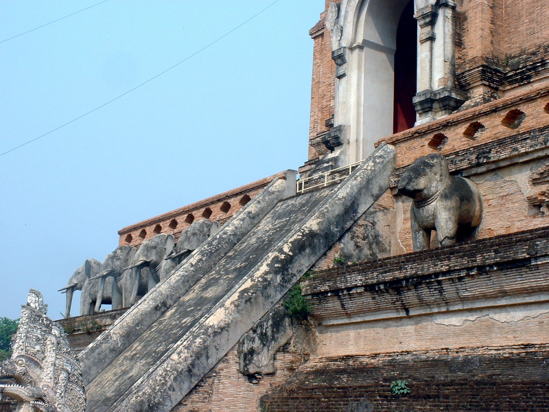 Old & New Elephants