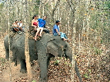 Charlie & Helen on Elephant