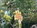 Doi Suthep