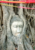 Buddha head