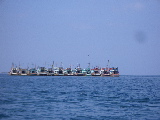 Line of boats