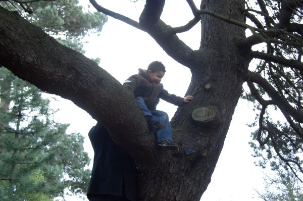 Sam in a tree.